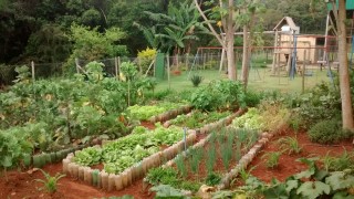 Educação Ambiental - Projeto Horta Pedagógica (Convite)