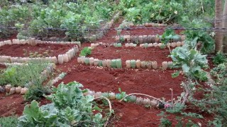 Educação Ambiental - Projeto Horta Pedagógica (Convite)