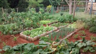 Educação Ambiental - Projeto Horta Pedagógica (Convite)