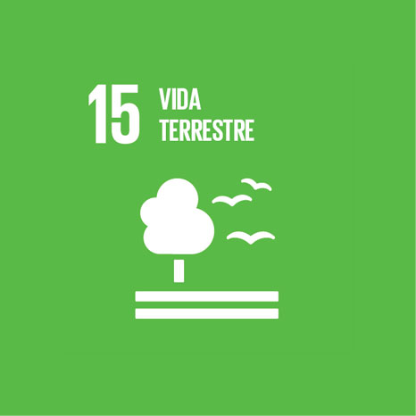 ODS15: Vida Terrestre